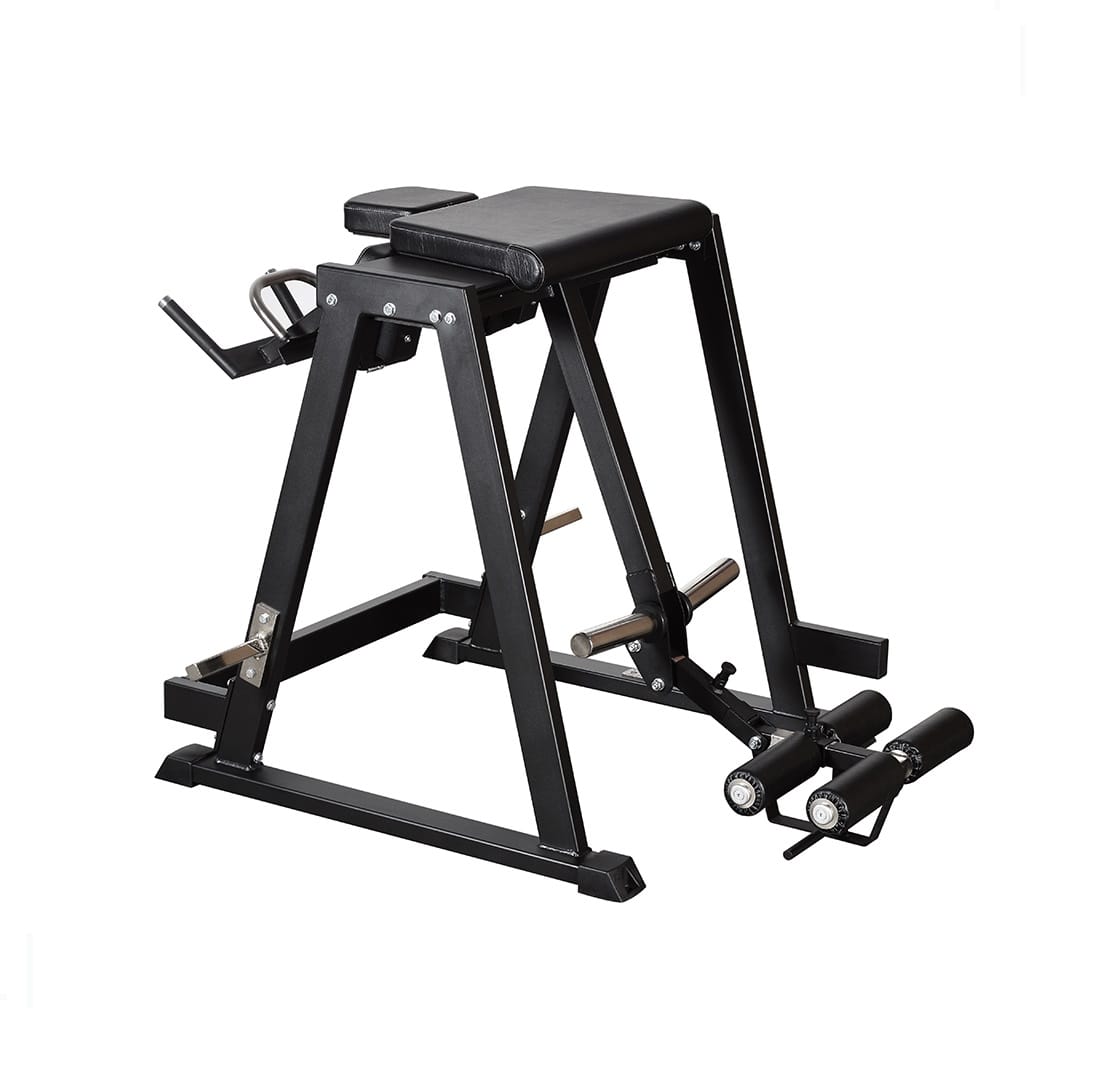 063 Gymleco Reverse Hyper Pendulum