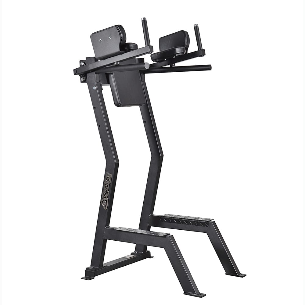 173 Gymleco Jalkanosto-/dippiteline