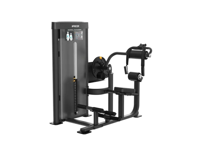 Precor Vitality Vatsa-/selänojennuslaite